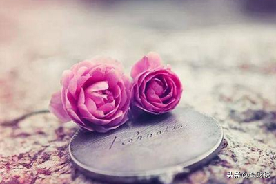 轉(zhuǎn)讓記賬代理價格公司怎么做賬_代理記賬公司轉(zhuǎn)讓價格_代理記賬公司整體轉(zhuǎn)讓