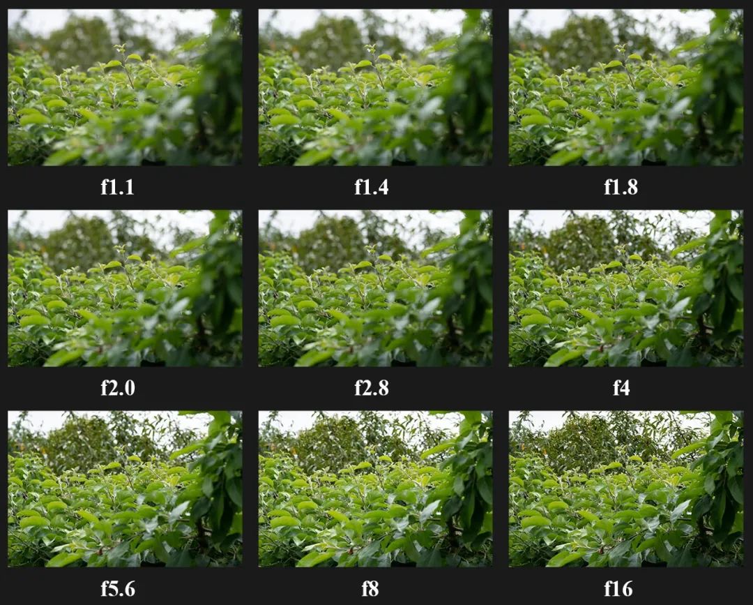 剪輯音樂長了怎么剪短_視頻音樂長了怎么剪掉_音樂比視頻長怎么剪