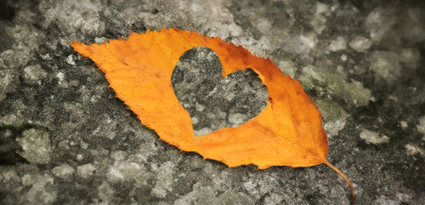 手機上裁剪視頻_手機視屏裁剪_視頻裁剪手機上怎么弄